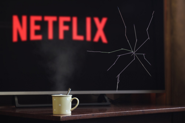 Die Netflix-Qualitätsspirale: Eine Spurensuche